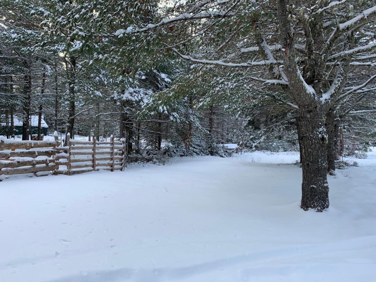 L'Auberge Refuge Du Trappeur Saint Mathieu Du Parc Εξωτερικό φωτογραφία
