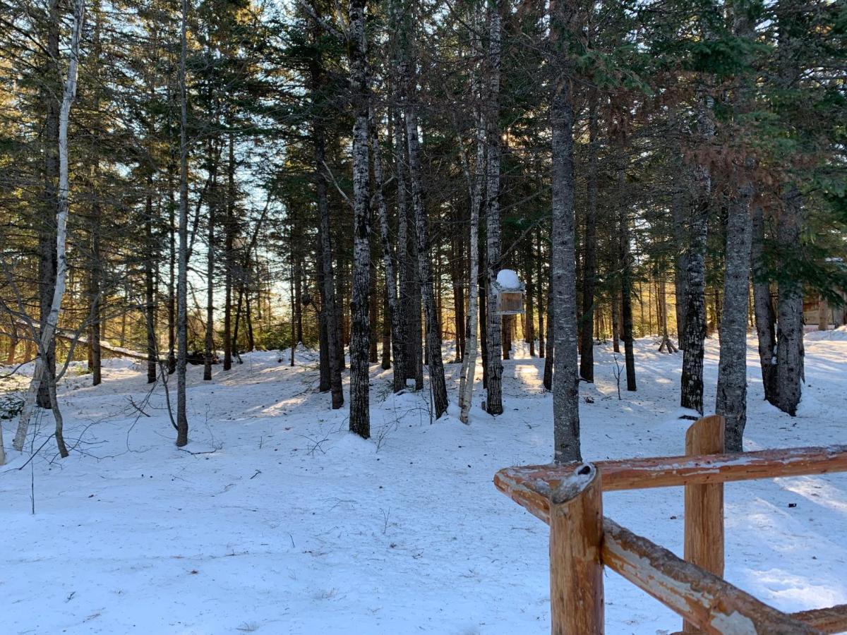 L'Auberge Refuge Du Trappeur Saint Mathieu Du Parc Εξωτερικό φωτογραφία