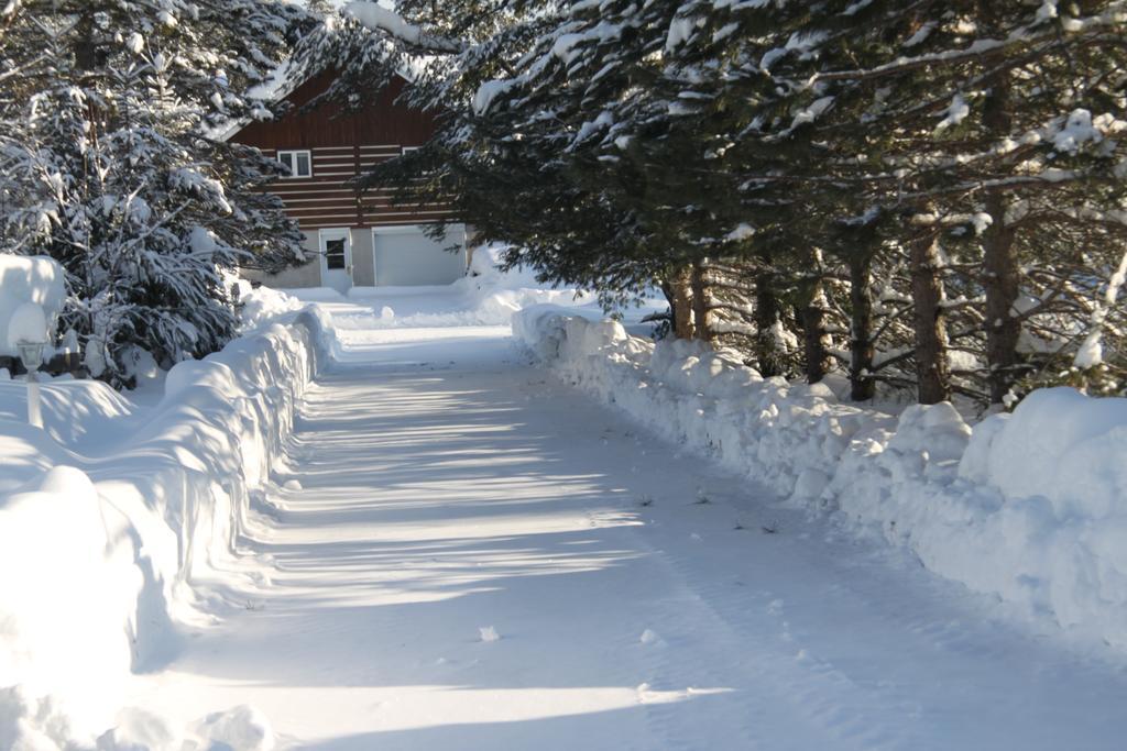 L'Auberge Refuge Du Trappeur Saint Mathieu Du Parc Εξωτερικό φωτογραφία